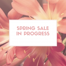 Spring Specials in our Store